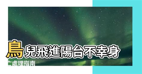 鳥死在陽台風水